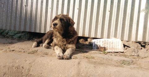 Welcome back winter once again