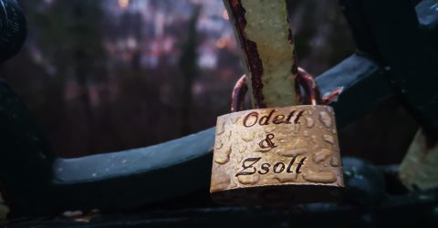 Lock love on the fence