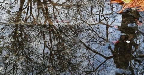 L’inverno