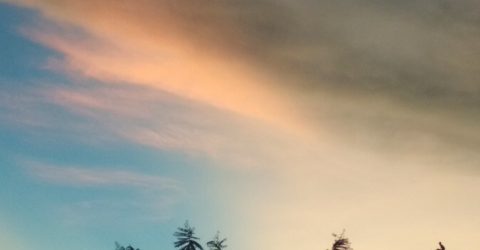 Towards brighter future