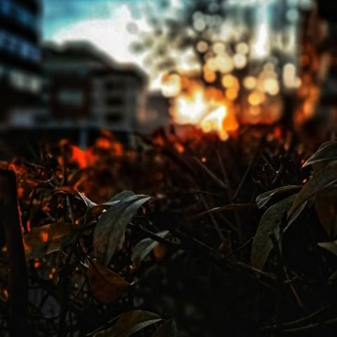 Sunset in the neighbourhood