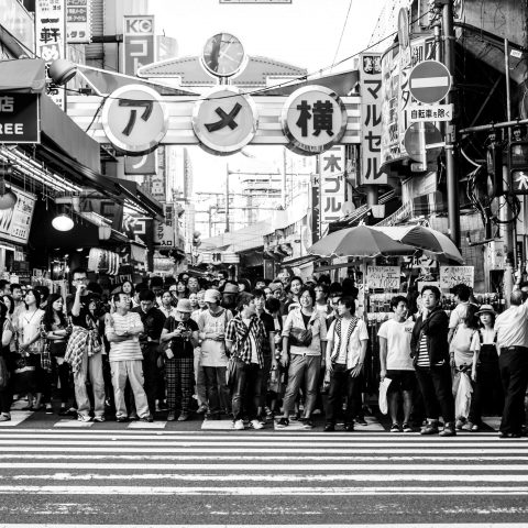 Crossing Tokyo