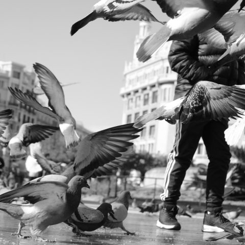 Fly Away