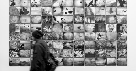 Biennale 2017