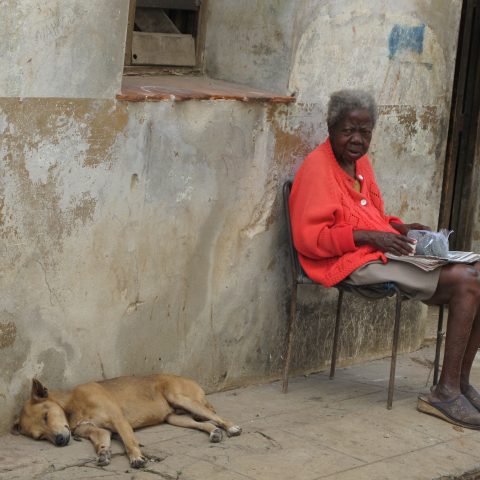 woman and dog