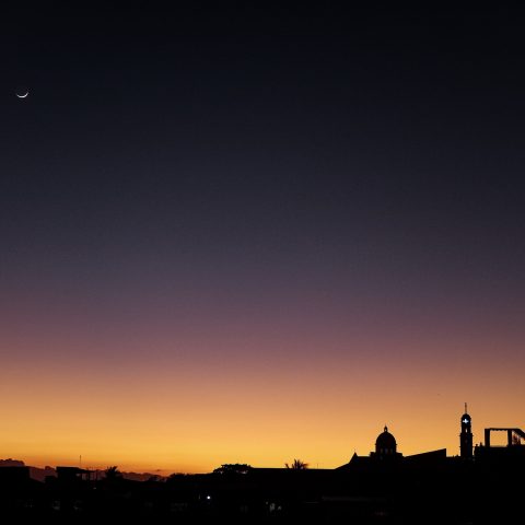 Moonlight over the City