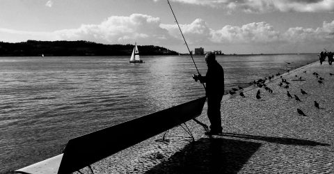 fishing in the city