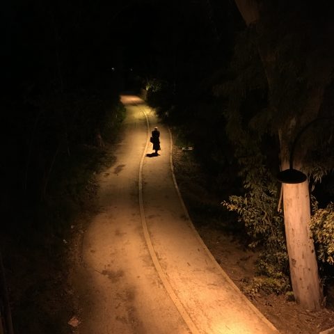 lone walk
