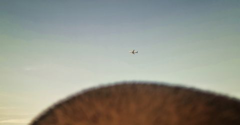 The Plane