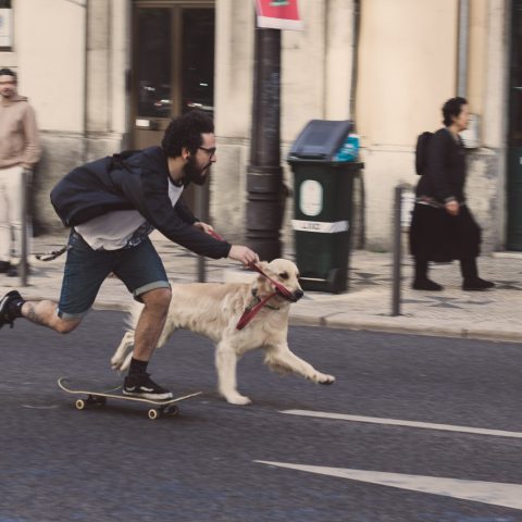 The Dog and the Skater