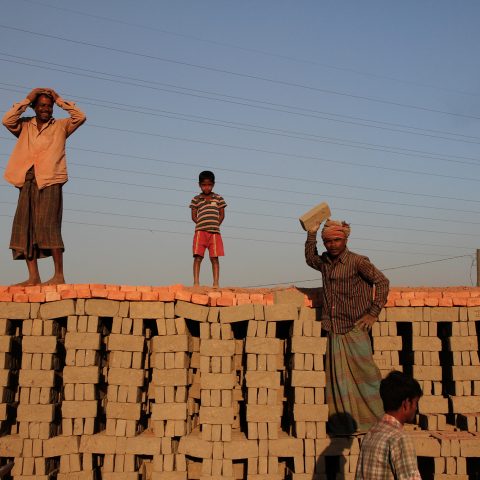 Workers standing on the rows of stacked raw bricks at the edge of the brick kiln