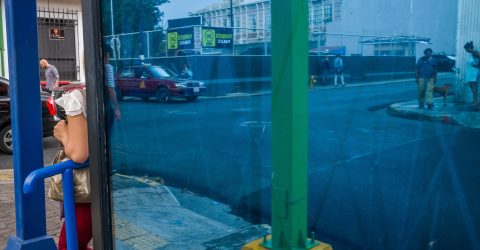 Green Pole