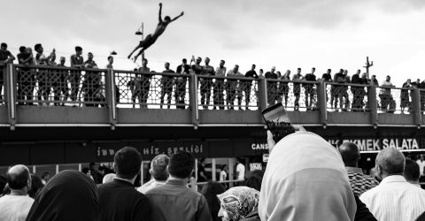 Spectator