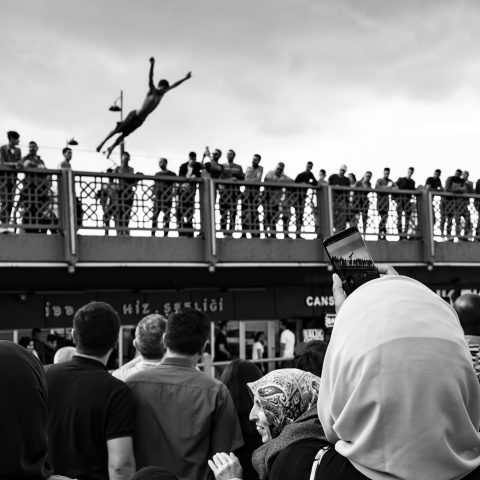 Spectator