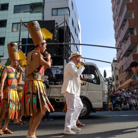 celebration of samba festival