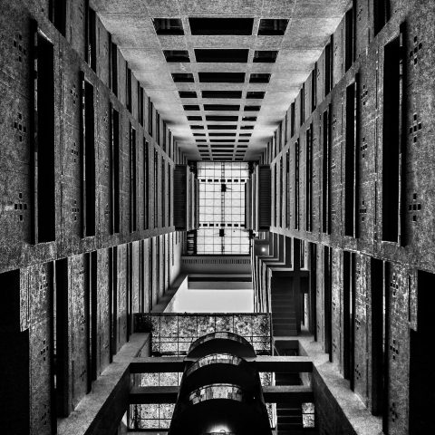 Perspective