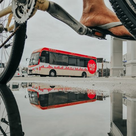 Iconic Bus