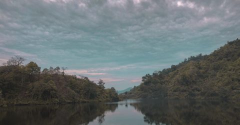 Reflection