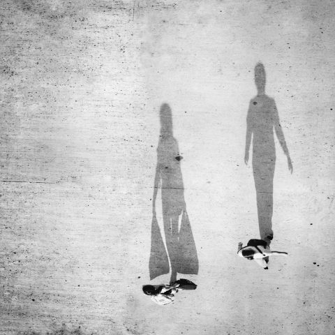 Following their shadows.