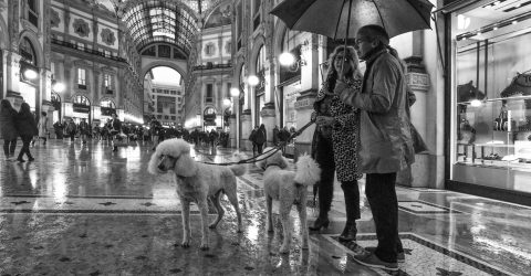 Milano sotto la pioggia