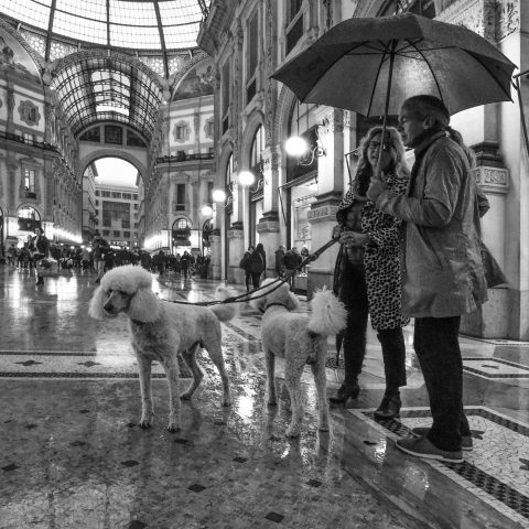 Milano sotto la pioggia