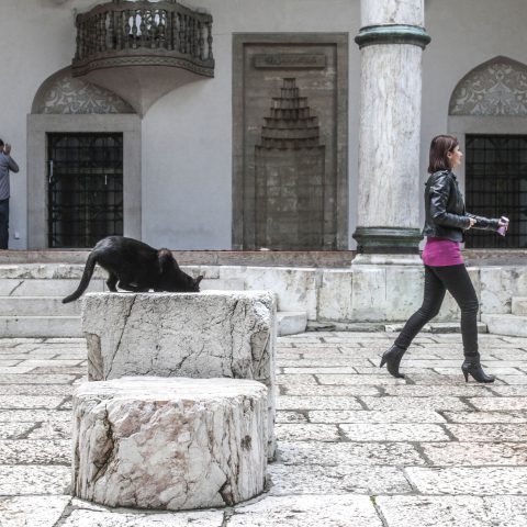 The mosque’s garden