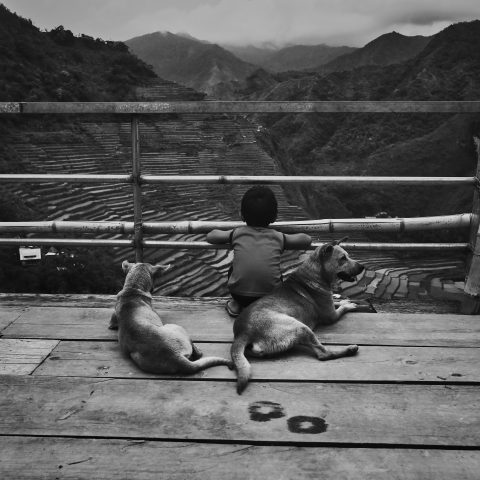 Batad View
