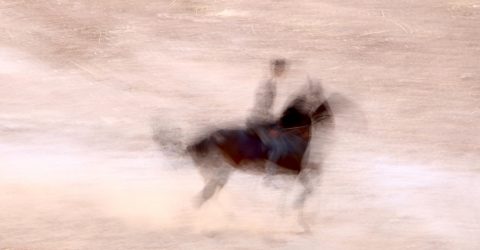 Movimento