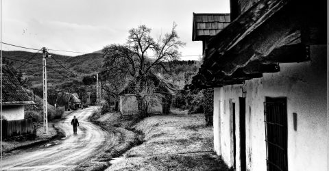 Dirt roads