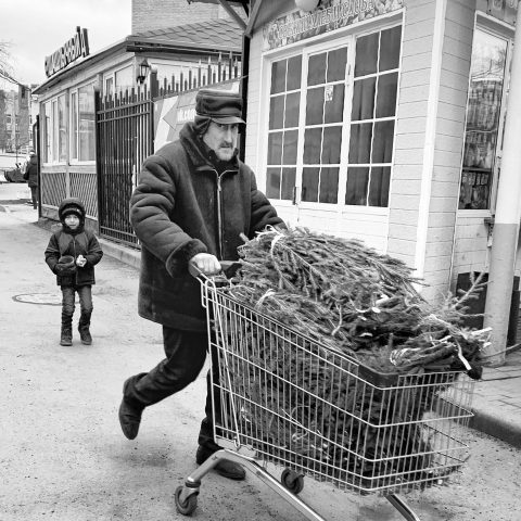 Man with grocery cart