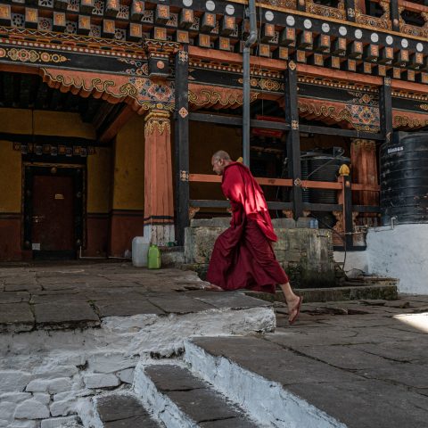 Monk on duty
