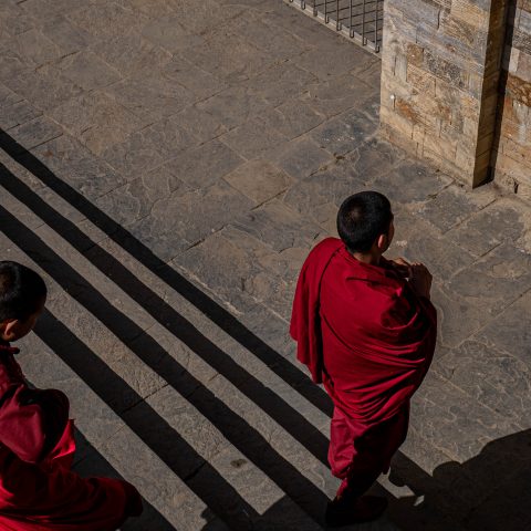 Young monks