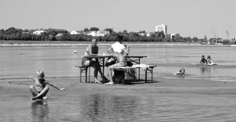 Summer on the Danube Beach