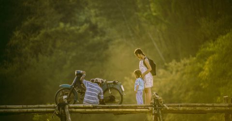 Dad! Where Are We Going?