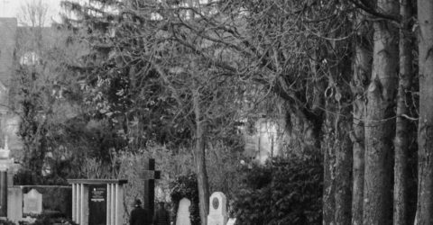 Post-Mortem