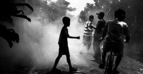 Dengue fogging