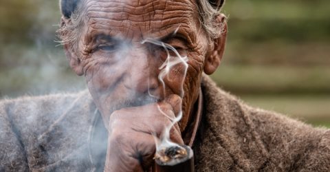 Portrait of Cigar Man