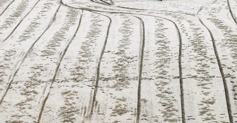 Paths