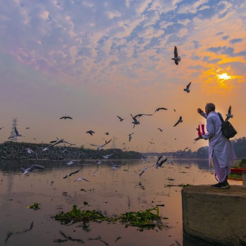 Peace in Crowd