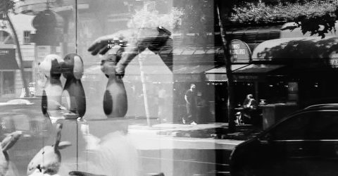 Shop Window