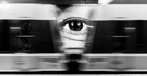 The eye
