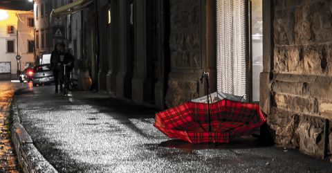 Umbrella