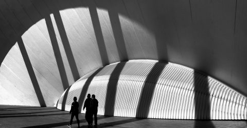 Shadows