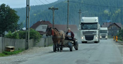 Sometimes one horsepower is enough