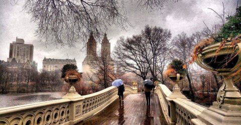 Spring fall