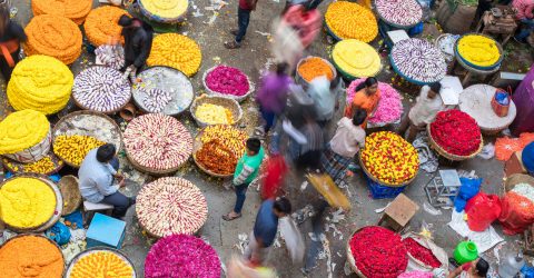 Colourful India