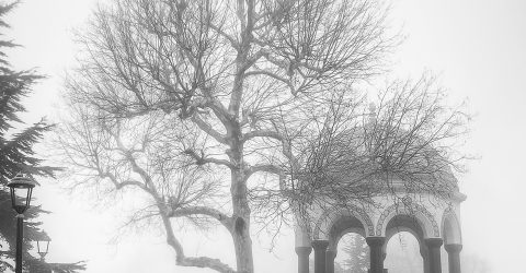 man in fog