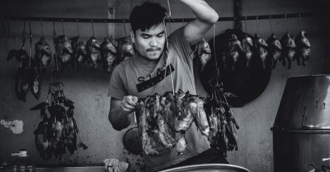 The Chicken Boy