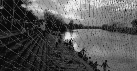 The Net