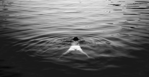 Swimmer